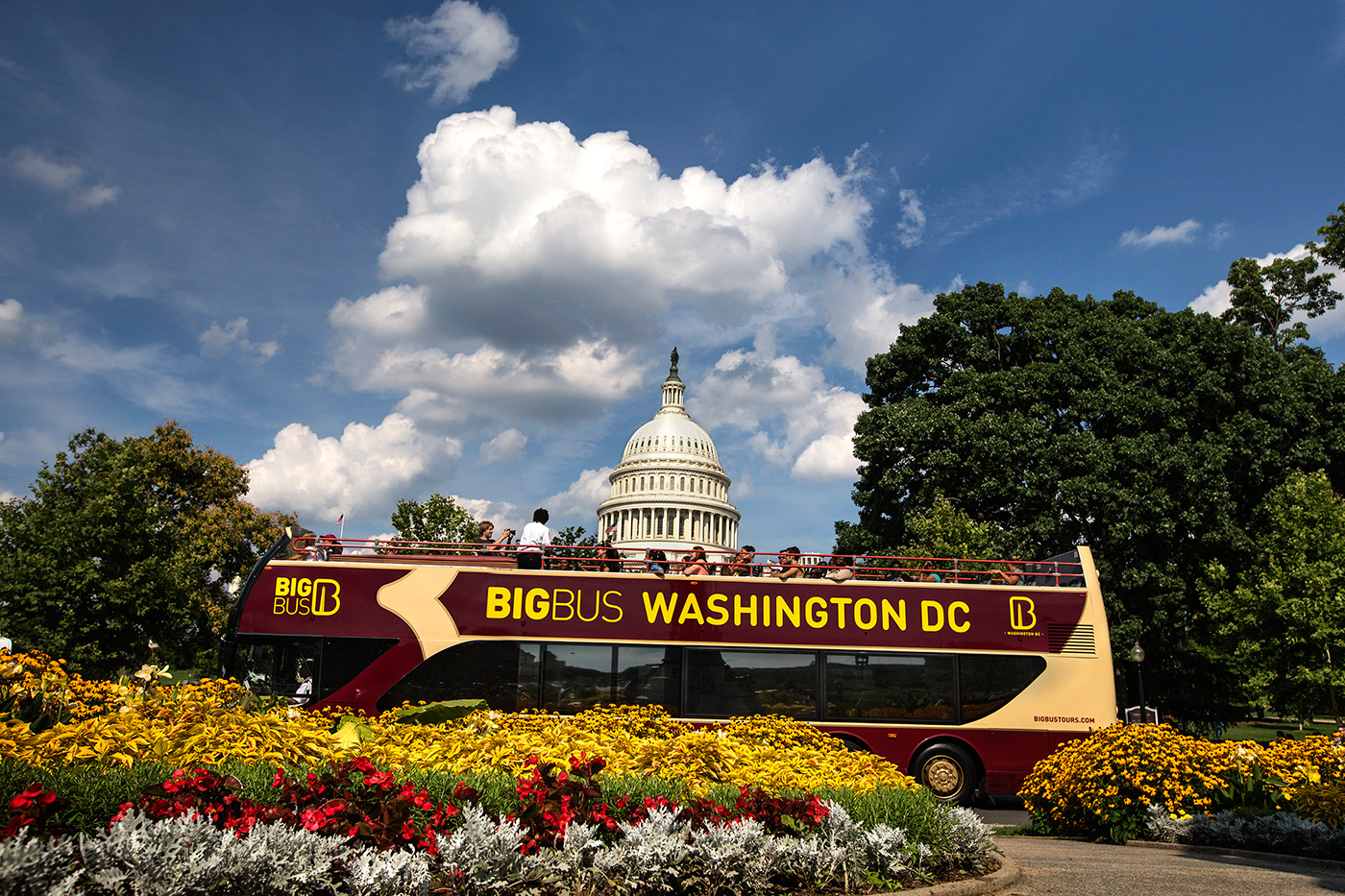 BIG BUS TOURS WASHINGTON, DC